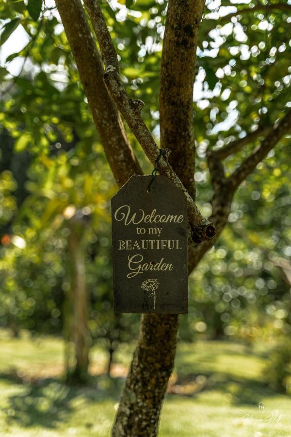 Horizon Hill Villa Pirae Ngoại thất bức ảnh